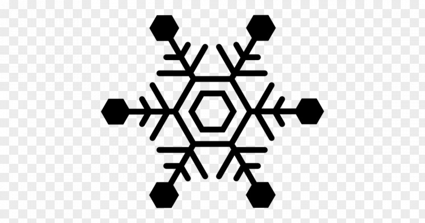 Snowflake Flake Ice Cold PNG