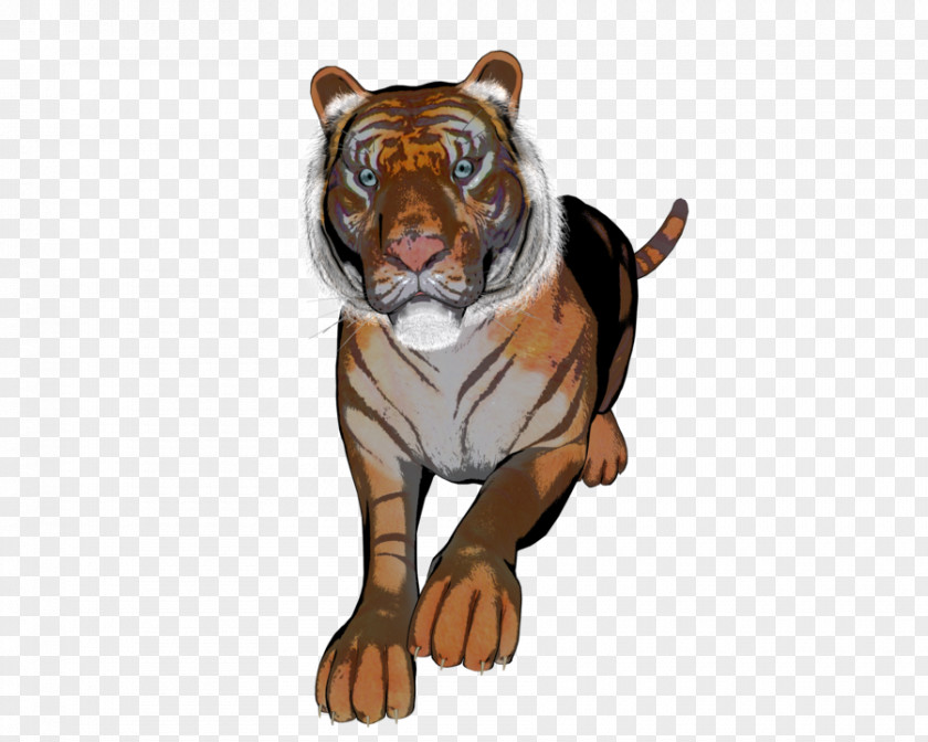 Tiger Lion Dog Canidae PNG