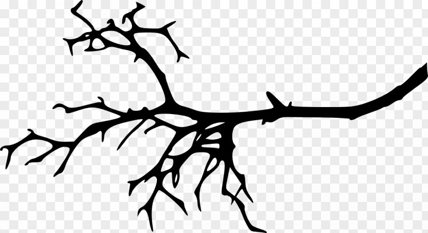 Twig Branch Clip Art Tree PNG