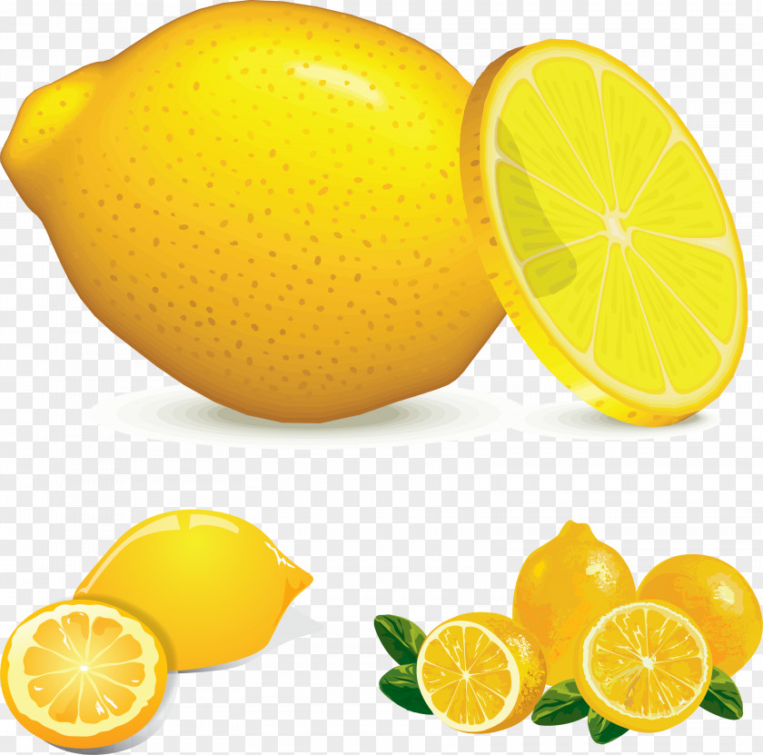 Creative 3d Cartoon Fruit Hand-drawn Pictures Of Lemon Clip Art PNG