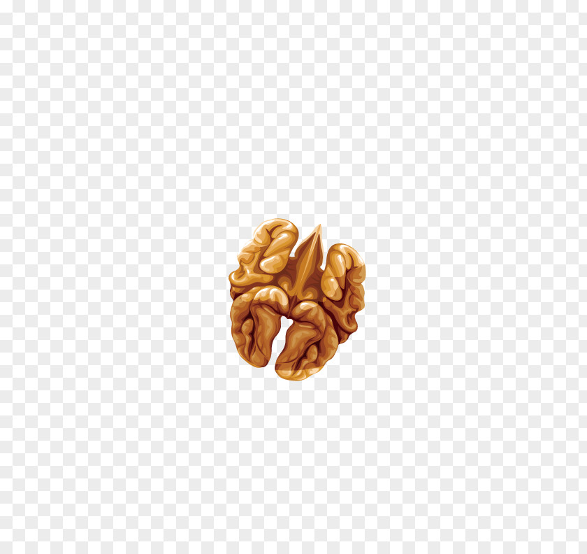 Delicious Walnut Dried Fruit PNG