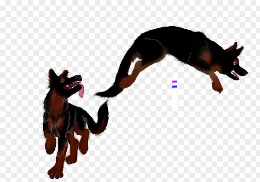 Obedience Trial Puppy Dog Breed Character PNG