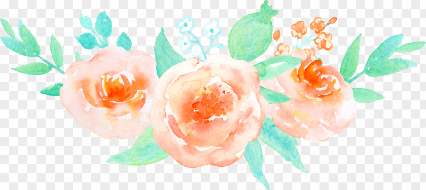 Orange Painted Pattern Of Roses Garden Beach Rose Flower PNG