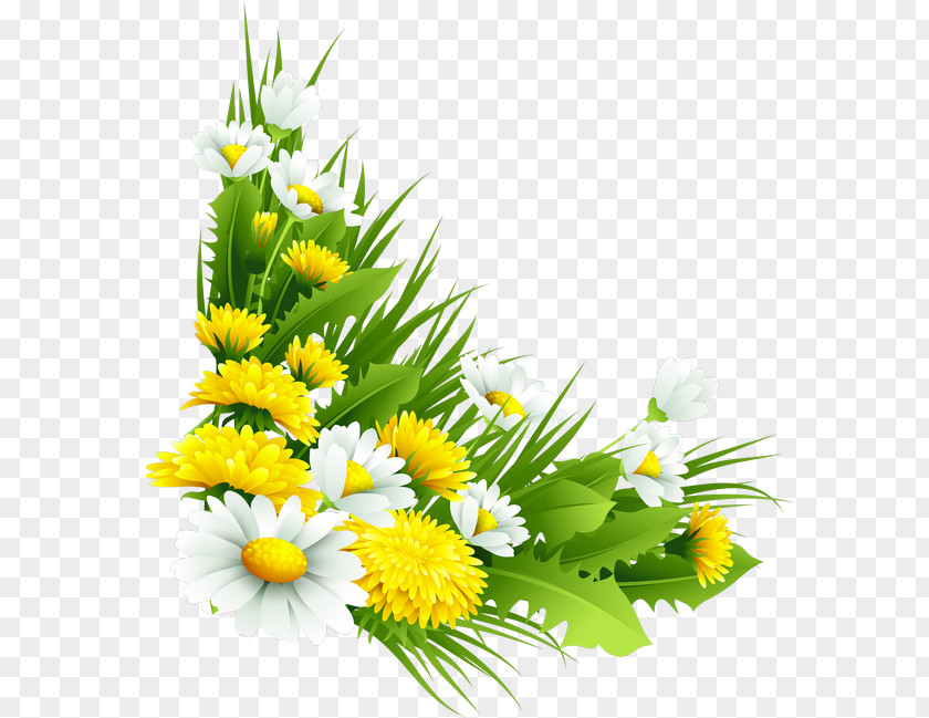 Plant Flower Chrysanthemum Tea Indicum PNG