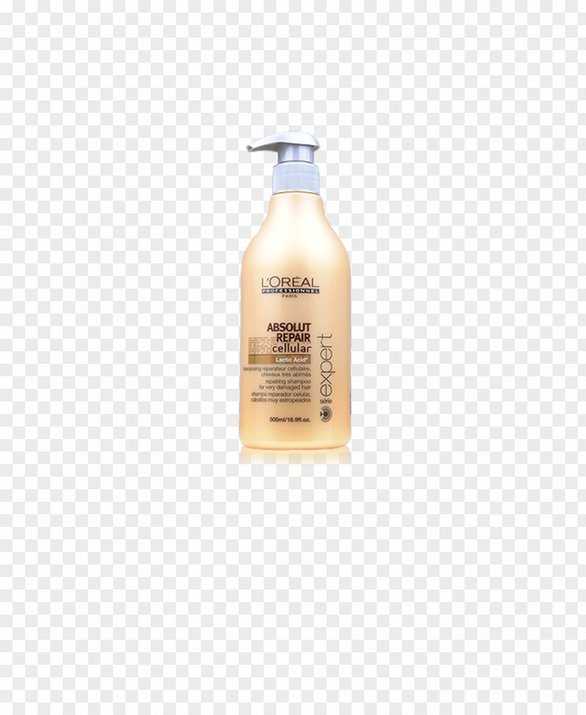 Shampoo Lotion LOrxe9al PNG