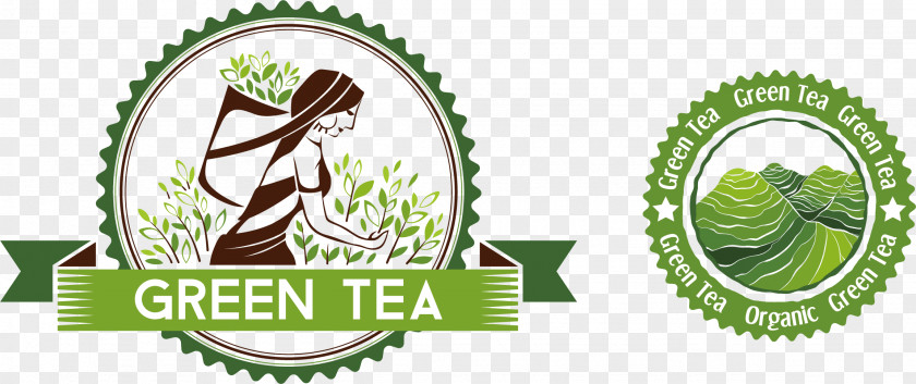 Alpine Green Tea Icon PNG