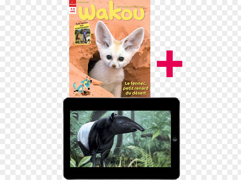 Bayam Wakou Magazine Subscription Newspaper Photo Caption PNG