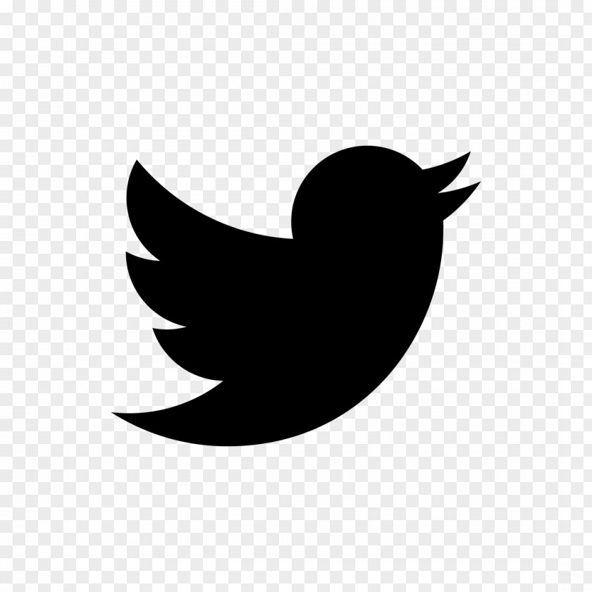 Blue Bird Social Media Internet Blog Twitter PNG