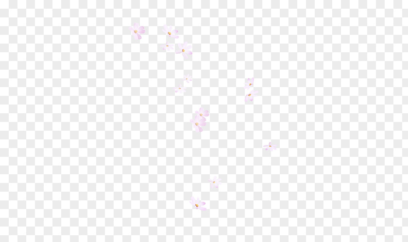 Cherry Blossom Petal Desktop Wallpaper PNG