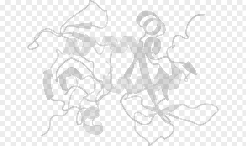 Line Drawing White Art Clip PNG