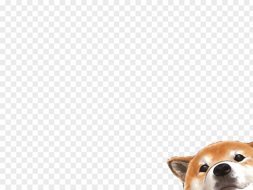 Puppy Pembroke Welsh Corgi Dog Breed Companion Desktop Wallpaper PNG