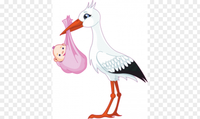 Stork White Clip Art PNG