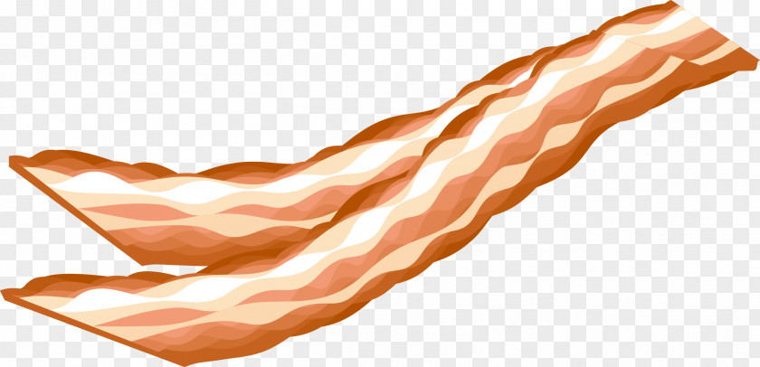 Vector Bacon Sausage Italian Cuisine Ham Clip Art PNG