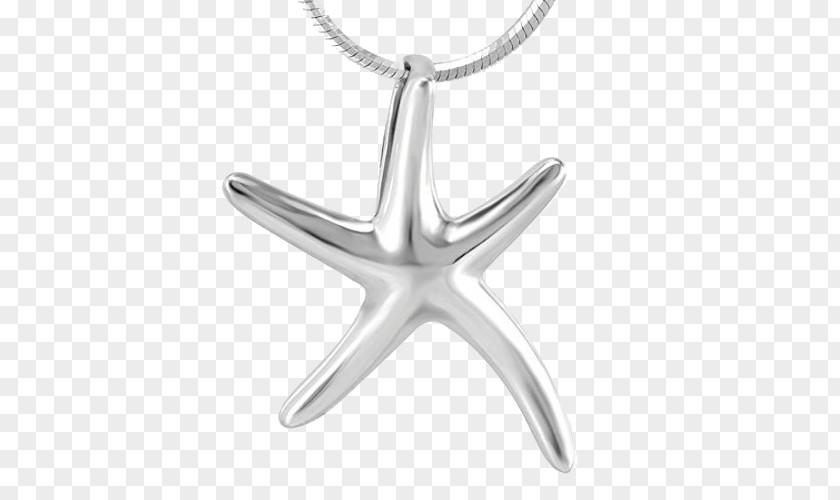 Beautiful Starfish Charms & Pendants Necklace Silver Chain Jewellery PNG