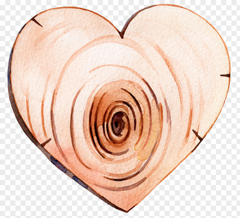 Heart-shaped Hand-painted Wood PNG
