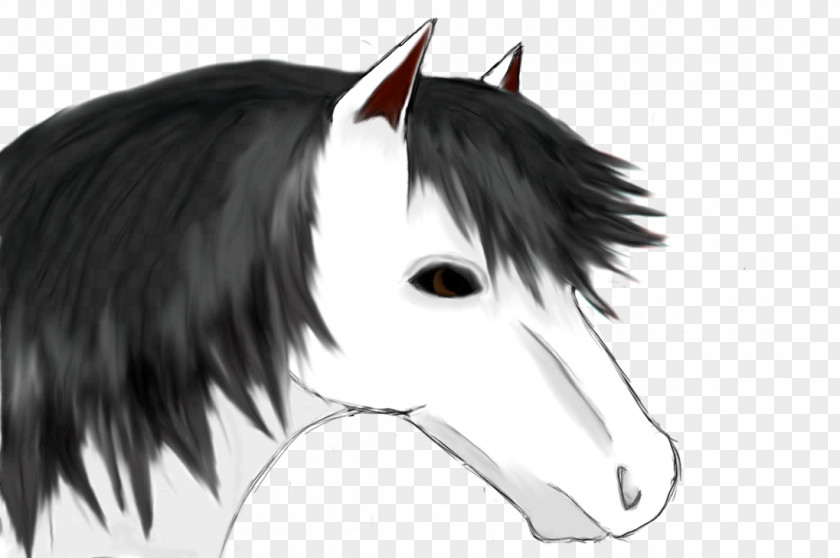 Horse Mane Mustang Stallion Pack Animal Black White PNG