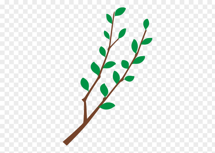 Branch Twig Illustration Tree Plants PNG