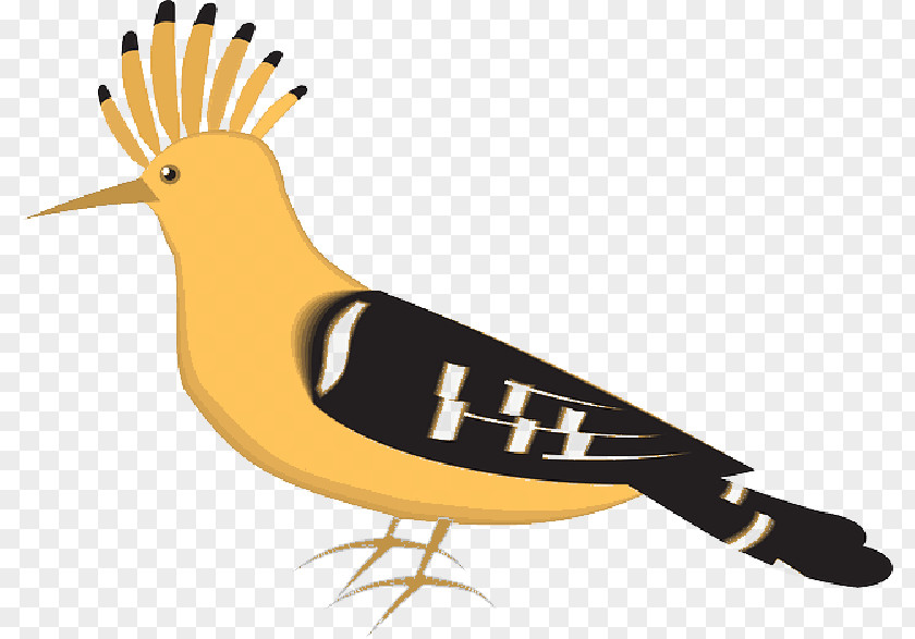 Clip Art Eurasian Hoopoe Illustration Bird PNG