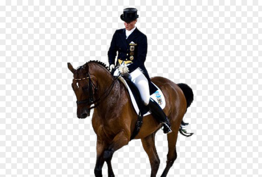 Horse Olympic Games 2008 Summer Olympics 2012 Dressage PNG
