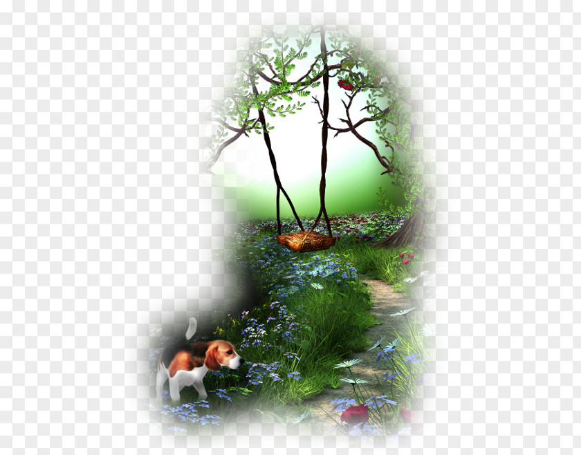 Log Stool Water Garden Image Desktop Wallpaper PNG