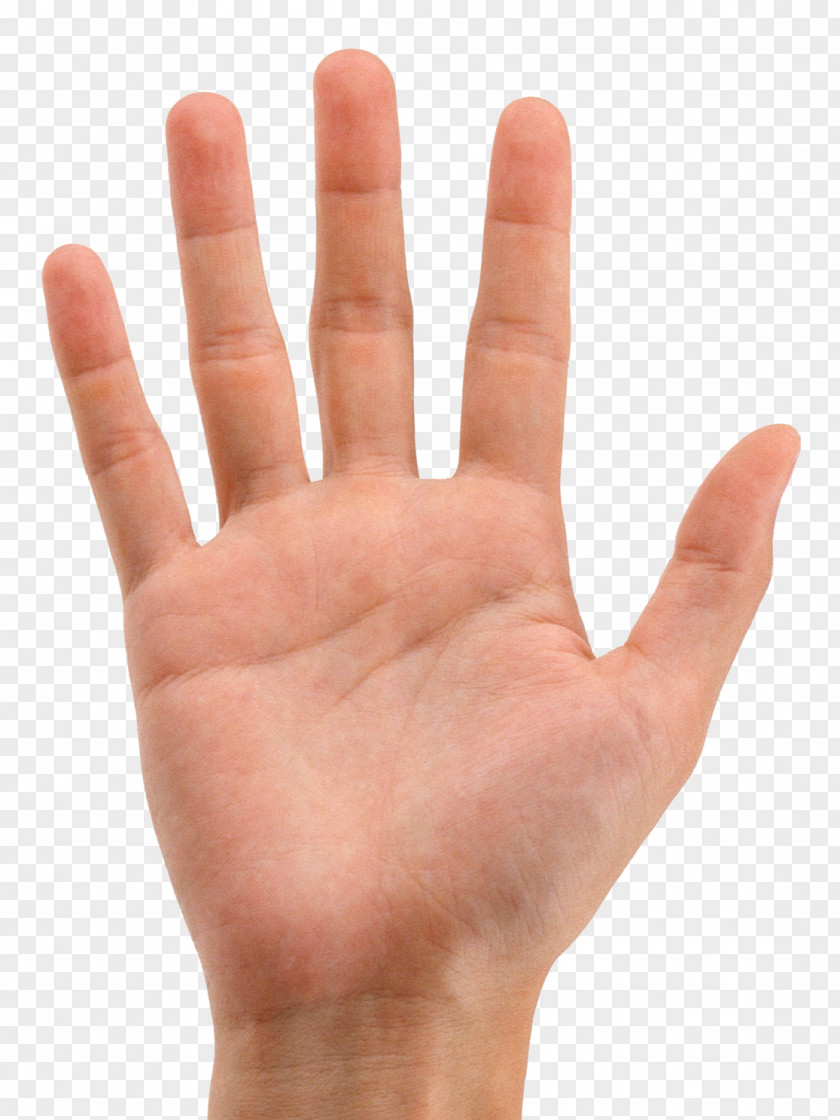 Mao Finger Hand Digit Line PNG
