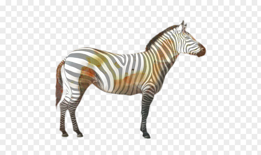 Mare Statue Zebra Cartoon PNG