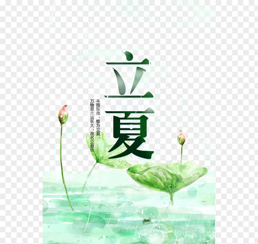 Beginning Of Summer Solar Terms Lotus Vector Material Lixia Term Sentence PNG