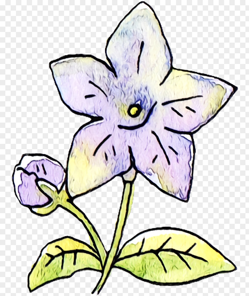 Floral Design PNG