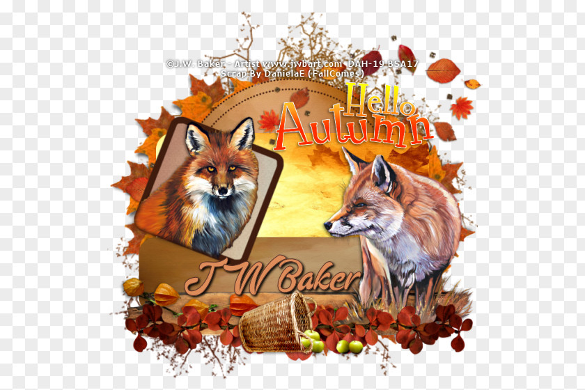Red Fox Wildlife News PNG