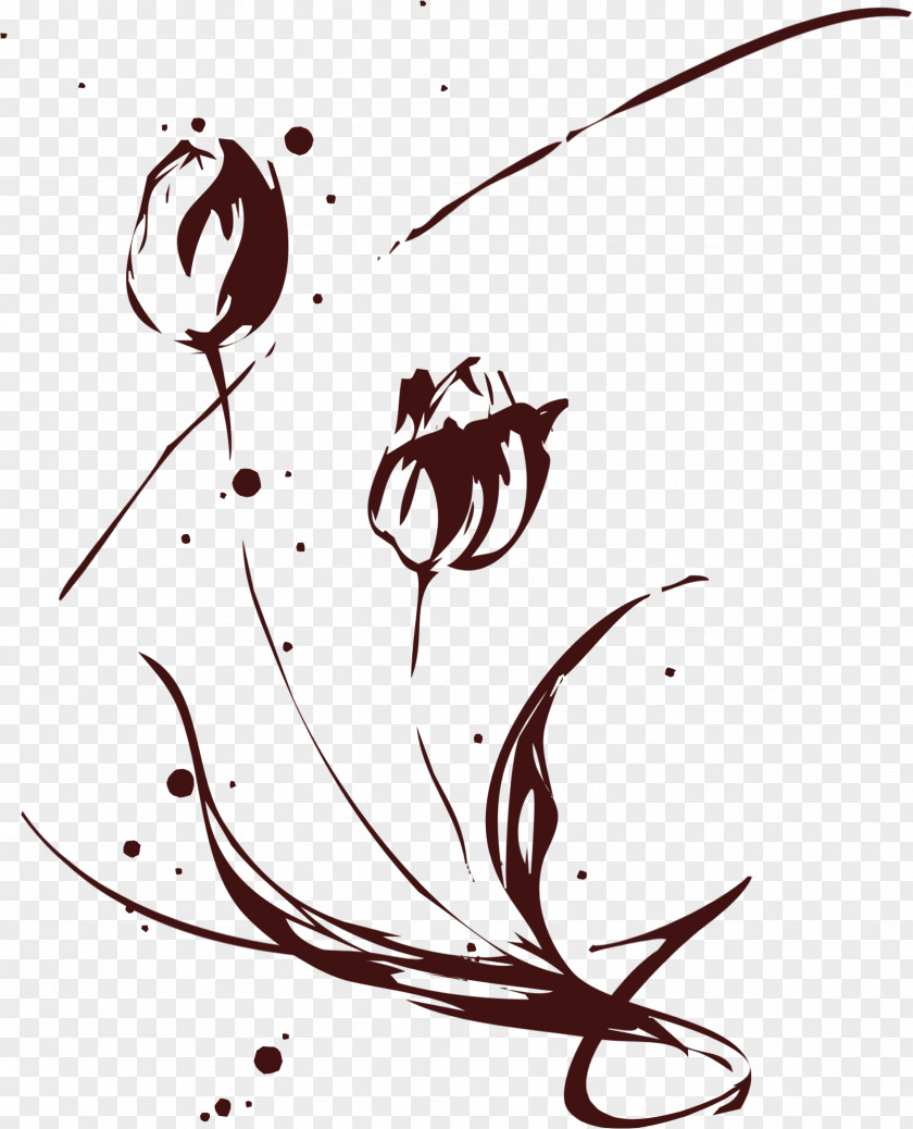 Tulip Flower Drawing Illustration PNG