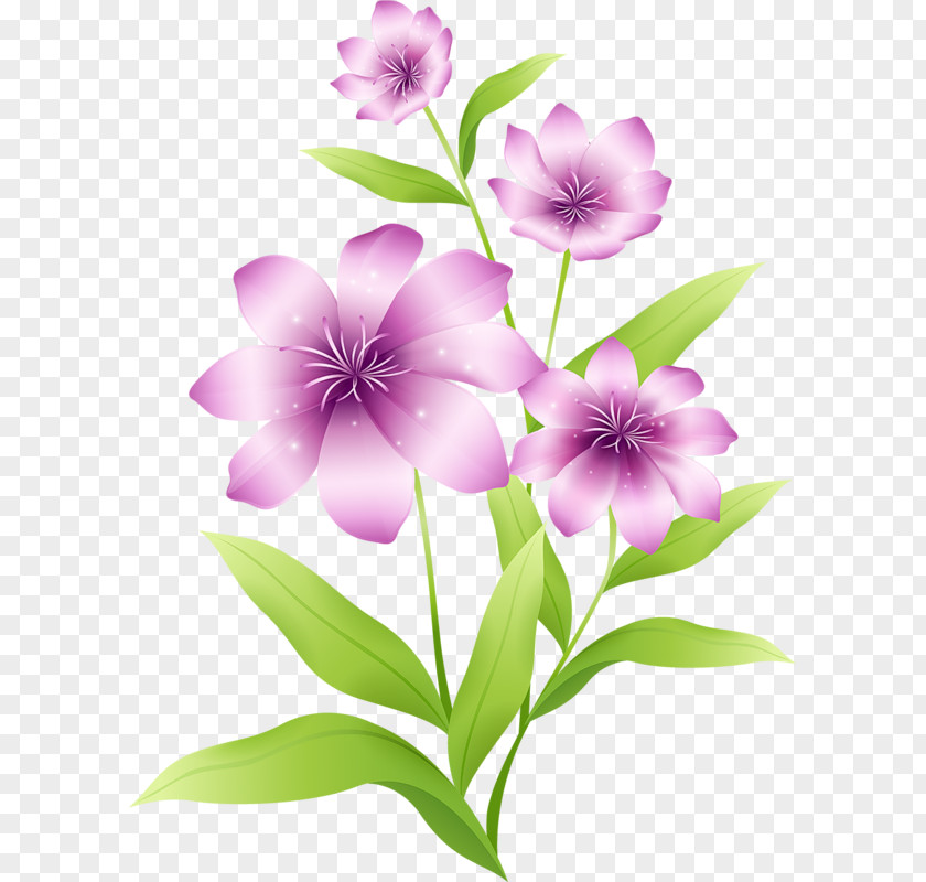 Flowers Cliparts Flower Purple Pink Clip Art PNG