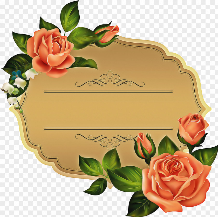 Garden Roses Rectangle Drawing Of Family PNG