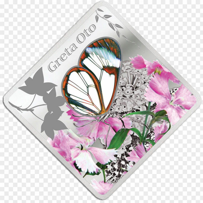 Glasswing Butterfly Butterflies And Moths Coin Frånsida Animal PNG