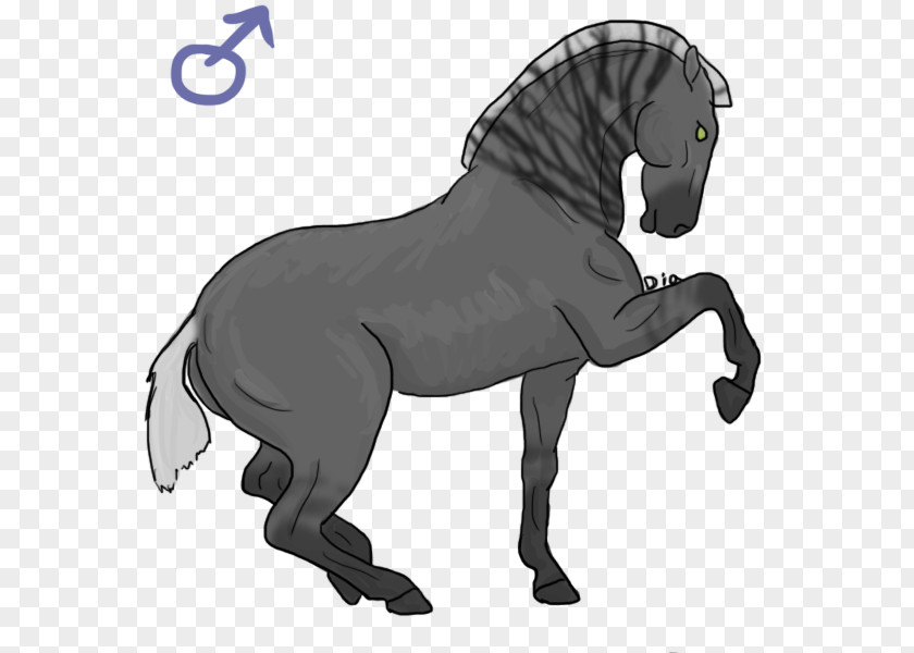 Hen Species Mule Mustang Stallion Pony Mane PNG