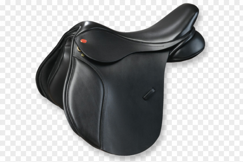 Shooting Horse Rider Saddle Fitting Kent Equestrian PNG