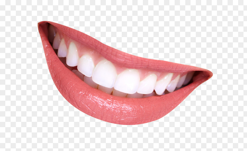 Smile Human Mouth Clip Art PNG