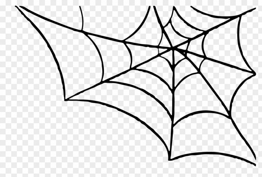 Spider Web Clip Art PNG
