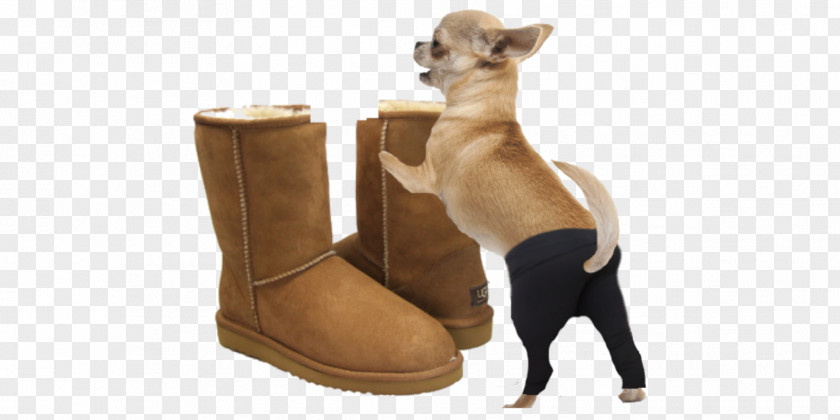 Yoga Dog Pants Italian Greyhound Ugg Boots Breed Clothing PNG