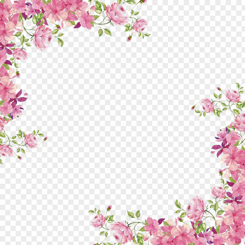 Flowers Borders PNG borders clipart PNG