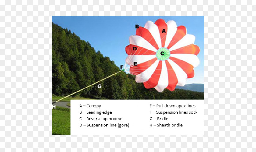 Parachute Parachuting Paragliding Free Fall Advertising PNG