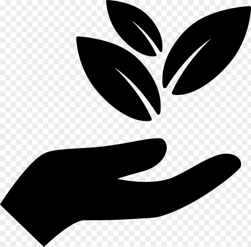 Black Beans Sustainability Symbol PNG