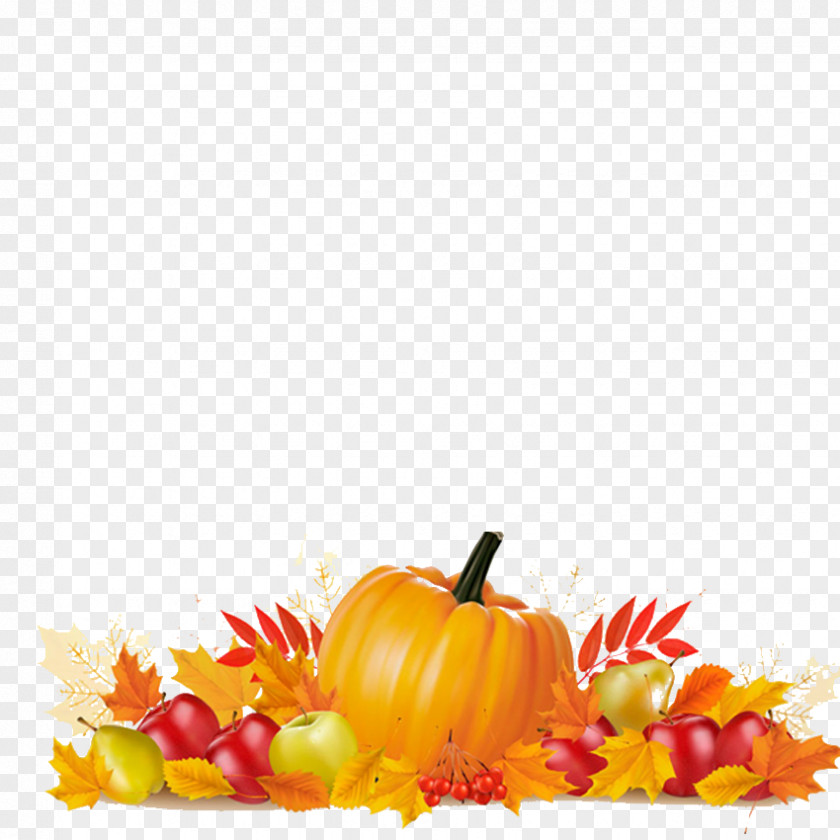 Creative Pumpkin Thanksgiving Autumn Leaf Color Illustration PNG