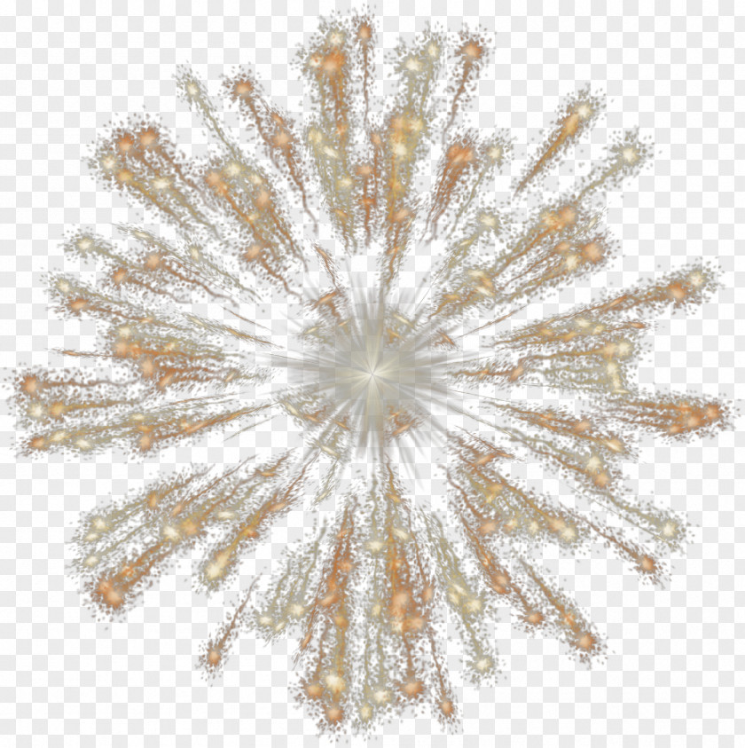 Fireworks Effect Pyrotechnics PNG