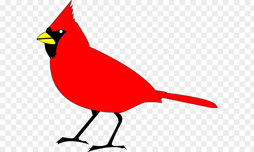 Free Cardinal Clipart Northern St. Louis Cardinals Clip Art PNG