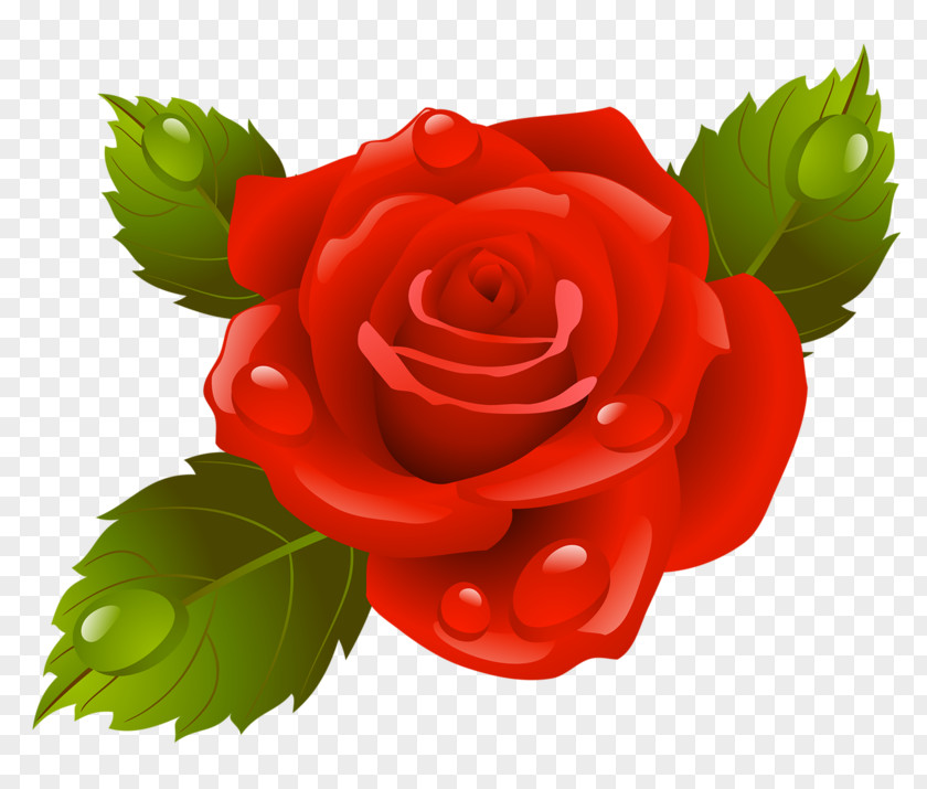 Painting Garden Roses Image Flower Pictures PNG