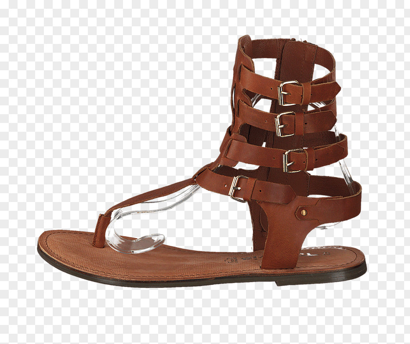 Sandal Slipper Shoe Footway Group Leather PNG