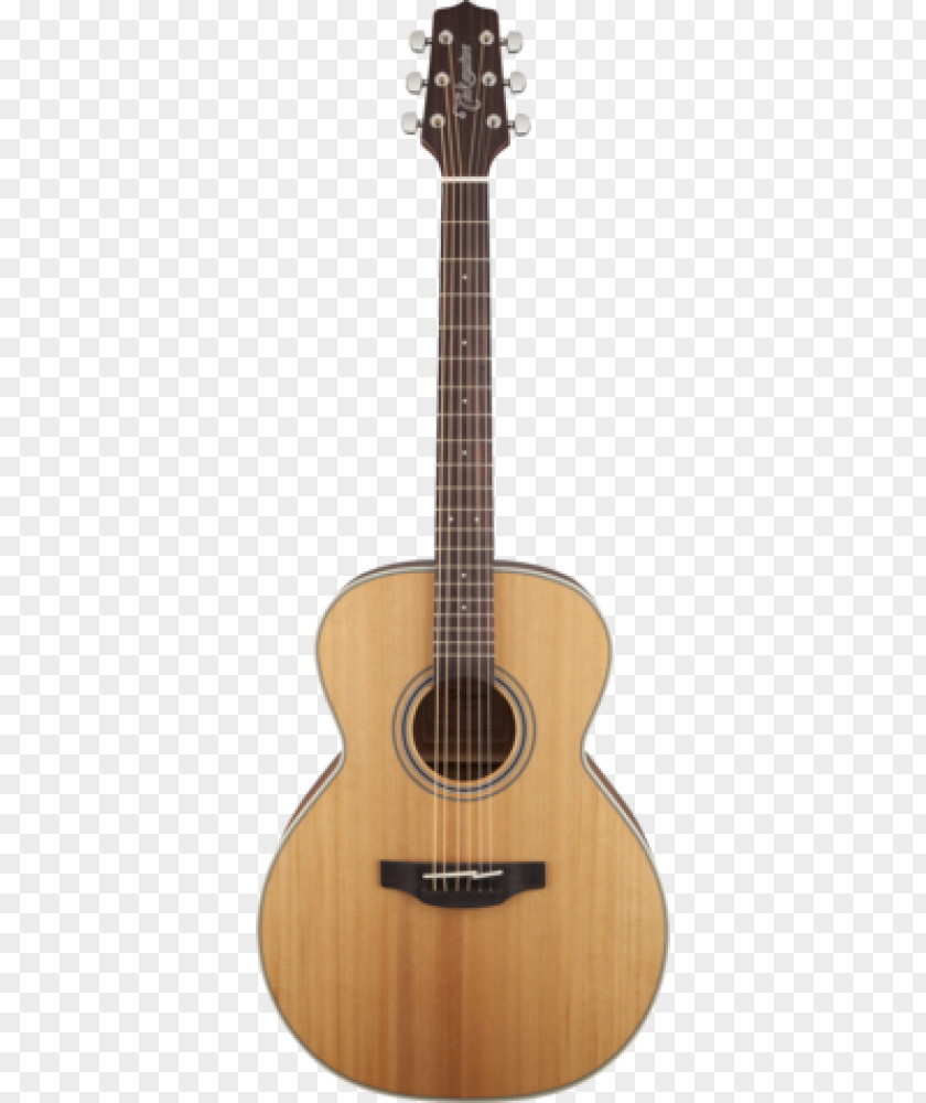 Acoustic Guitar Steel-string Takamine Guitars Acoustic-electric PNG