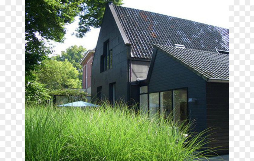 House Garden Design Landscaping Landscape Architect PNG
