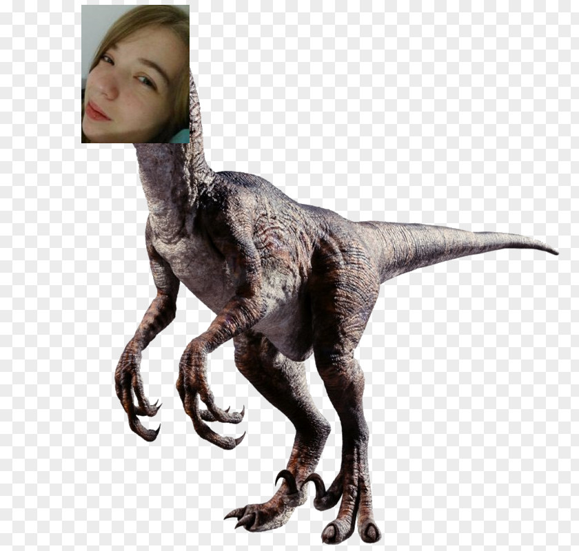 Jurassic World Velociraptor Tyrannosaurus Triceratops Dromaeosaurus PNG