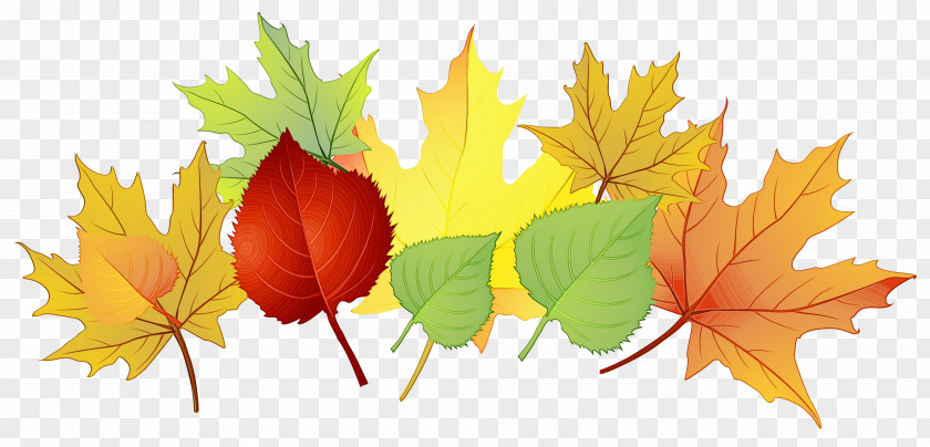 Maple Leaf Desktop Wallpaper Autumn Computer PNG